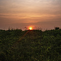 Sunrise over the dunes
